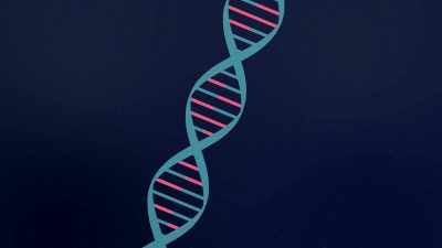 >> Most people have been
programmed with a belief about - The Way of Miracles