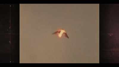 Most people that have had
anomalous experiences - Beyond: UFOS and the Unknown