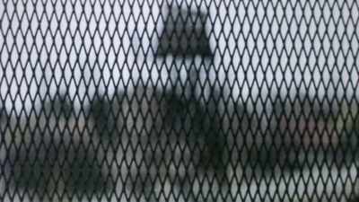 Most who try to cross
from east to west are shot. - Searching for Secrets