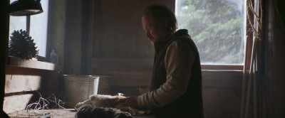 Mother Earth forgives us - Radioflash