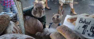 Motherfucking village! - Peter Rabbit 2: The Runaway