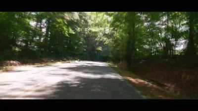 [Motorbike speeding] - Leopard Skin