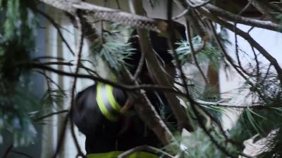 Mouch, Otis, we gotta get
the husband outta here, - Chicago Fire
