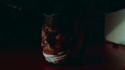 Mount Superior has transformed
into flesh without flesh. - A Wounded Fawn