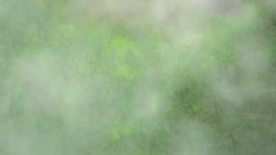 Mountain mist guarantees
nutritious food - The Secret Lives of Animals