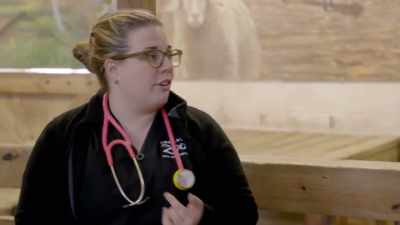 Move to avery,
who'll do vaccines, cydectin, - Secrets of the Zoo