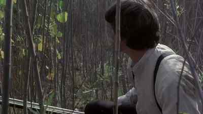 - Move over. Down this stretch!
- Check out those trees! - Days of Heaven