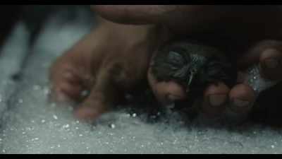 Moving and cleaning tiles
is too heavy. - All That Breathes