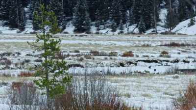 Moving through heavy snow - Yellowstone: One-Fifty