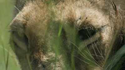 Moving together in synchrony
is the key to creating a powerful bond. - Dynasties