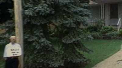 [MOWER WHIRRING] - The Devil Next Door