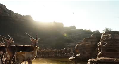Mowgli behind meDon't leave my side - The Jungle Book