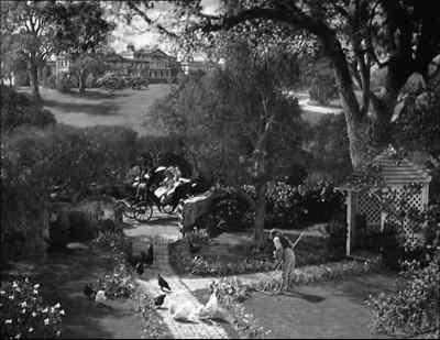 Mr. Collins! - Pride and Prejudice