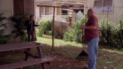 Mr. Gray? I hope you don't mind,
your gate was open. - Lost