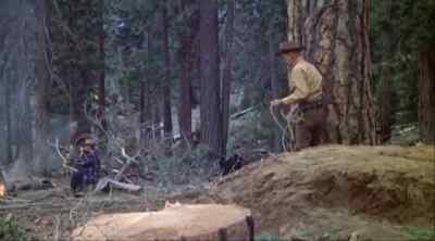 Mr. Hadley. - Guns of the Timberland