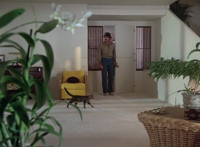 Mr. Harriman? Hi, kitty. - Magnum, P.I.