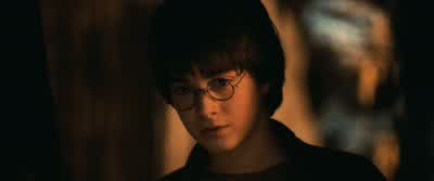 Mr. Harry Potter wishes to make a withdrawal. - Harry Potter and the Philosopher's Stone