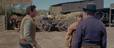 Mr Hastings you know all the people in this town - The Sons of Katie Elder