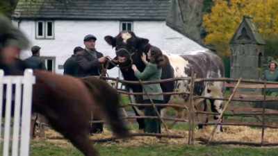 Mr Herriot! - All Creatures Great & Small