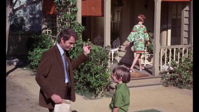 Mr Hooper next door he has a dog - The Million Dollar Duck