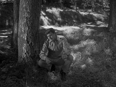 MR. McBEEVEE. - The Andy Griffith Show
