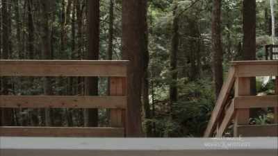 Mr. Mitchell told me that
she just quit suddenly - Chronicle Mysteries: Recovered