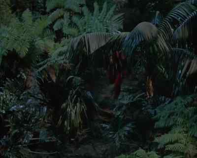 Mr. Parteg? - Land of the Giants