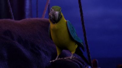 Mr. Pistol's left the helm. - TimeCrafters: The Treasure of Pirate's Cove