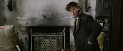 You didn't mention salamanders, did you? - Fantastic Beasts: The Crimes of Grindelwald