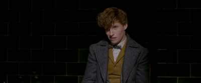Mr Scamander, - Fantastic Beasts: The Crimes of Grindelwald