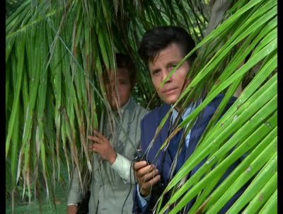 MR. SPEER? - Hawaii Five-0