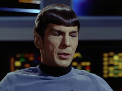 Mr. Spock, someone's opening
the shuttlecraft bay doors. - Star Trek