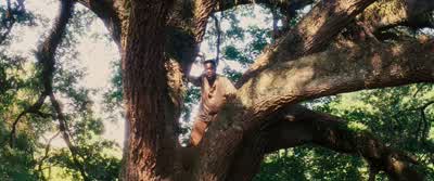 Mr. Stonesipher, would you shut these dogs up? I cannot hear myself think. - Django Unchained