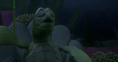 (Mr. Turtle groans weakly) - Dolphin Boy