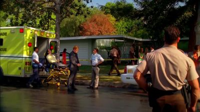 Mr. Wolfe, the dead man has a tattoo
from the Russian mob. Why is that? - CSI: Miami