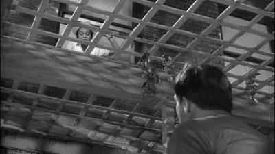 Mr. Xavier, did Mrs.
Torrance get back yet? - The Fugitive Kind