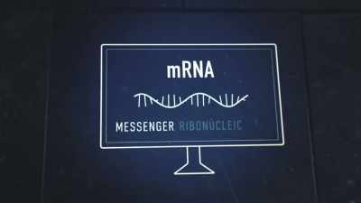Mrna stands for messenger
ribonucleic acid. - The Vaccine: Conquering COVID