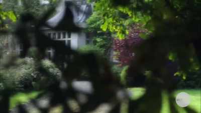 - Mrs. Aylwood,
you know as well as I - The Watcher in the Woods