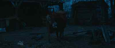 Mrs. Garth? - Wild River