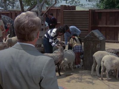 Mrs Stewart
Mrs Stewart? - Columbo