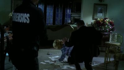 Mrs. Wilton? - CSI: Crime Scene Investigation