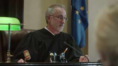 Ms. Timms' motion for
permanent guardianship - The Bad Guardian