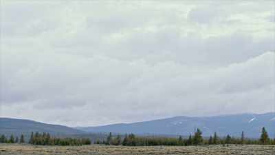 Much like the men on
the Hayden Expedition, - Yellowstone: One-Fifty