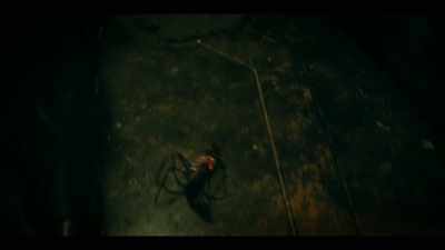 Mudd, if I see that pet of yours again-- - Star Trek: Discovery