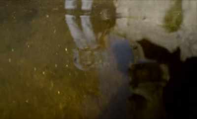 ♪ Muddy river - Dandelion