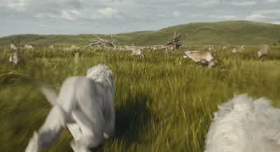 Mufasa, run! - Mufasa: The Lion King