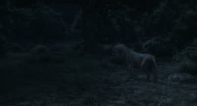 MufasaIs it them Is it the OutsidersNo She's right thereSheThere's no place to runWe have your scentMy scentI've been stalking you two all nightThat's not possibleThen why did I circle youthree times in this woodwhile you two were chasing each other's - Mufasa: The Lion King