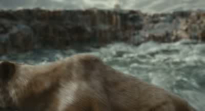Mufasa? - Mufasa: The Lion King