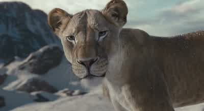 Mufasa... - Mufasa: The Lion King