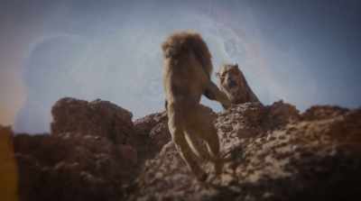 (MUFASA SCREAMING) - The Lion King